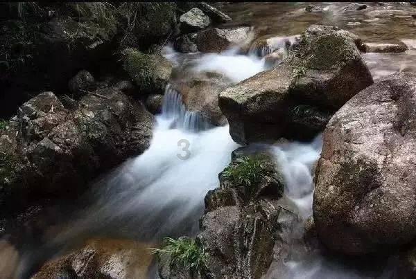 春雨直播app